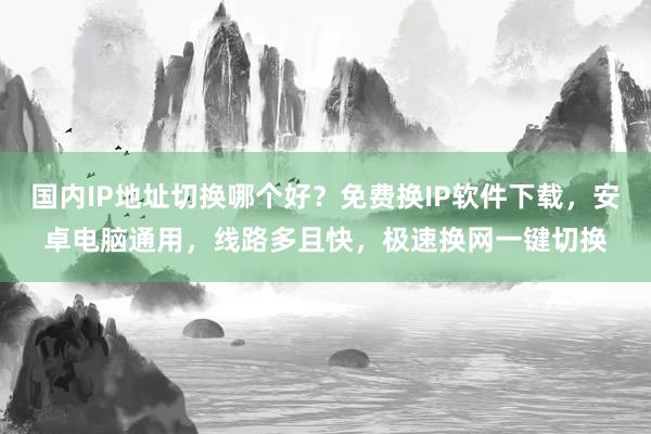 国内IP地址切换哪个好？免费换IP软件下载，安卓电脑通用，线路多且快，极速换网一键切换