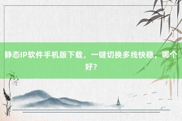 静态IP软件手机版下载，一键切换多线快稳，哪个好？