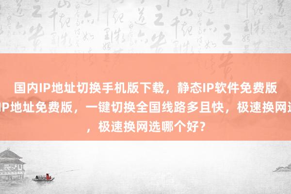 国内IP地址切换手机版下载，静态IP软件免费版，怎么换IP地址免费版，一键切换全国线路多且快，极速换网选哪个好？