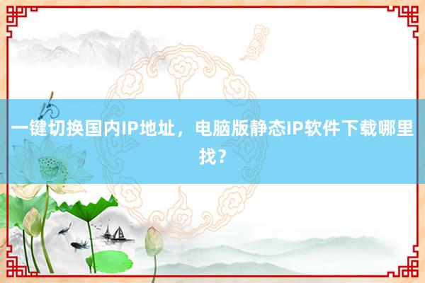 一键切换国内IP地址，电脑版静态IP软件下载哪里找？