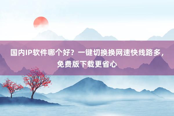 国内IP软件哪个好？一键切换换网速快线路多，免费版下载更省心