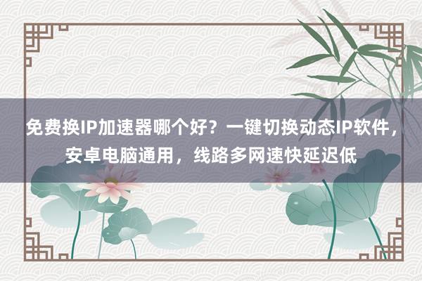 免费换IP加速器哪个好？一键切换动态IP软件，安卓电脑通用，线路多网速快延迟低