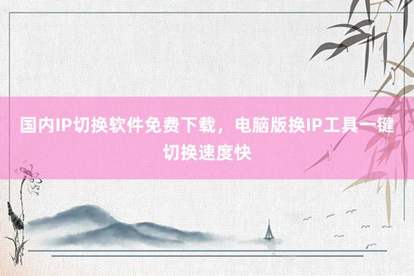 国内IP切换软件免费下载，电脑版换IP工具一键切换速度快