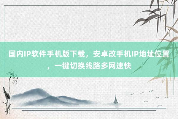 国内IP软件手机版下载，安卓改手机IP地址位置，一键切换线路多网速快