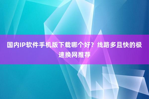 国内IP软件手机版下载哪个好？线路多且快的极速换网推荐