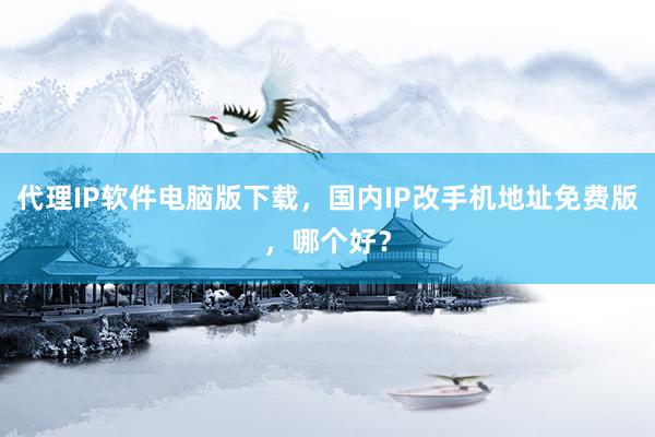 代理IP软件电脑版下载，国内IP改手机地址免费版，哪个好？