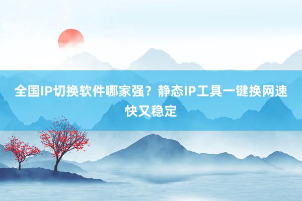 全国IP切换软件哪家强？静态IP工具一键换网速快又稳定