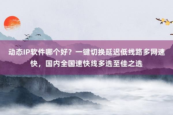 动态IP软件哪个好？一键切换延迟低线路多网速快，国内全国速快线多选至佳之选