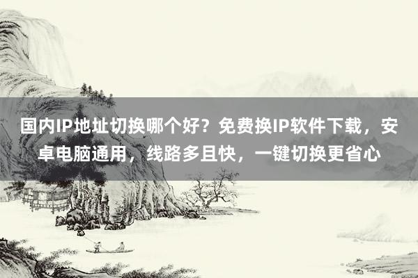 国内IP地址切换哪个好？免费换IP软件下载，安卓电脑通用，线路多且快，一键切换更省心