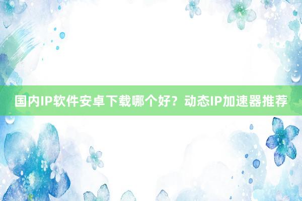 国内IP软件安卓下载哪个好？动态IP加速器推荐