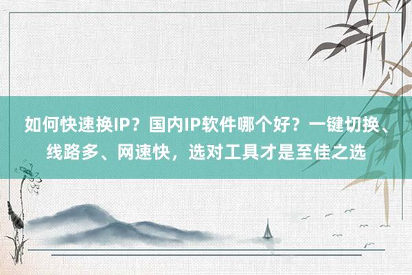 如何快速换IP？国内IP软件哪个好？一键切换、线路多、网速快，选对工具才是至佳之选