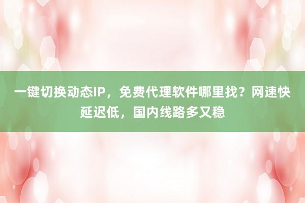 一键切换动态IP，免费代理软件哪里找？网速快延迟低，国内线路多又稳