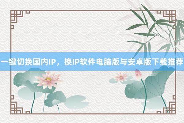 一键切换国内IP，换IP软件电脑版与安卓版下载推荐