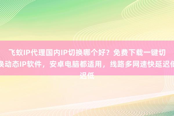 飞蚁IP代理国内IP切换哪个好？免费下载一键切换动态IP软件，安卓电脑都适用，线路多网速快延迟低