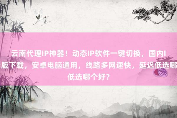 云南代理IP神器！动态IP软件一键切换，国内IP免费版下载，安卓电脑通用，线路多网速快，延迟低选哪个好？