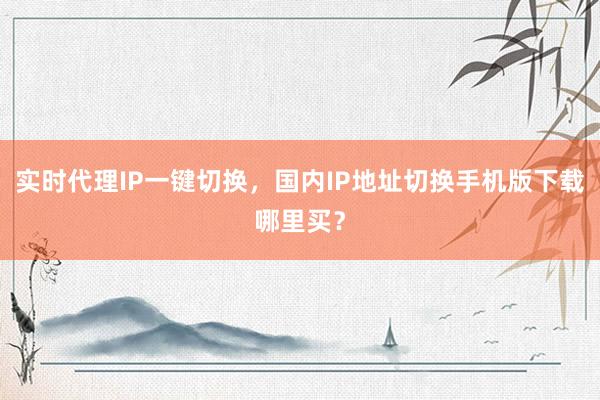 实时代理IP一键切换，国内IP地址切换手机版下载哪里买？
