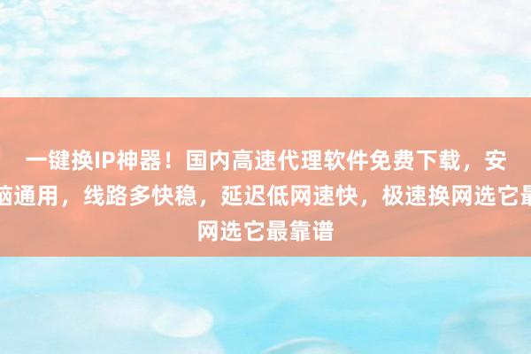 一键换IP神器！国内高速代理软件免费下载，安卓电脑通用，线路多快稳，延迟低网速快，极速换网选它最靠谱