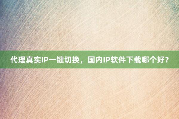 代理真实IP一键切换，国内IP软件下载哪个好？