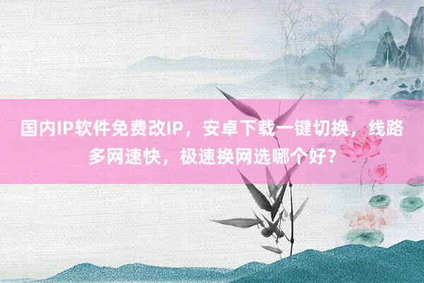 国内IP软件免费改IP，安卓下载一键切换，线路多网速快，极速换网选哪个好？