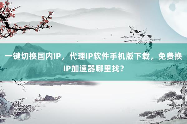 一键切换国内IP，代理IP软件手机版下载，免费换IP加速器哪里找？