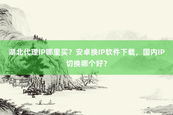 湖北代理IP哪里买？安卓换IP软件下载，国内IP切换哪个好？