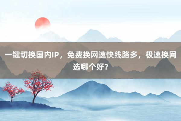 一键切换国内IP，免费换网速快线路多，极速换网选哪个好？