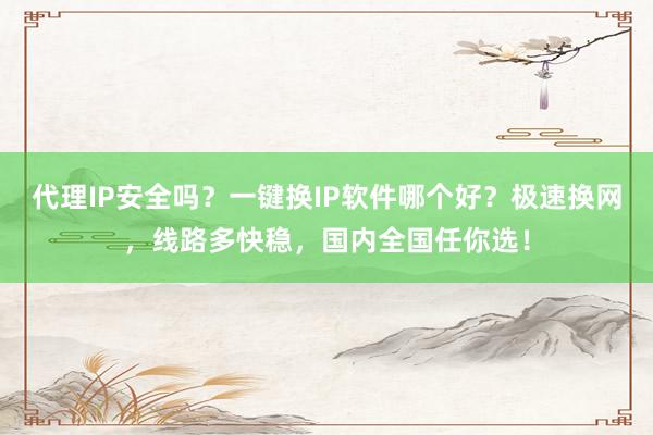 代理IP安全吗？一键换IP软件哪个好？极速换网，线路多快稳，国内全国任你选！